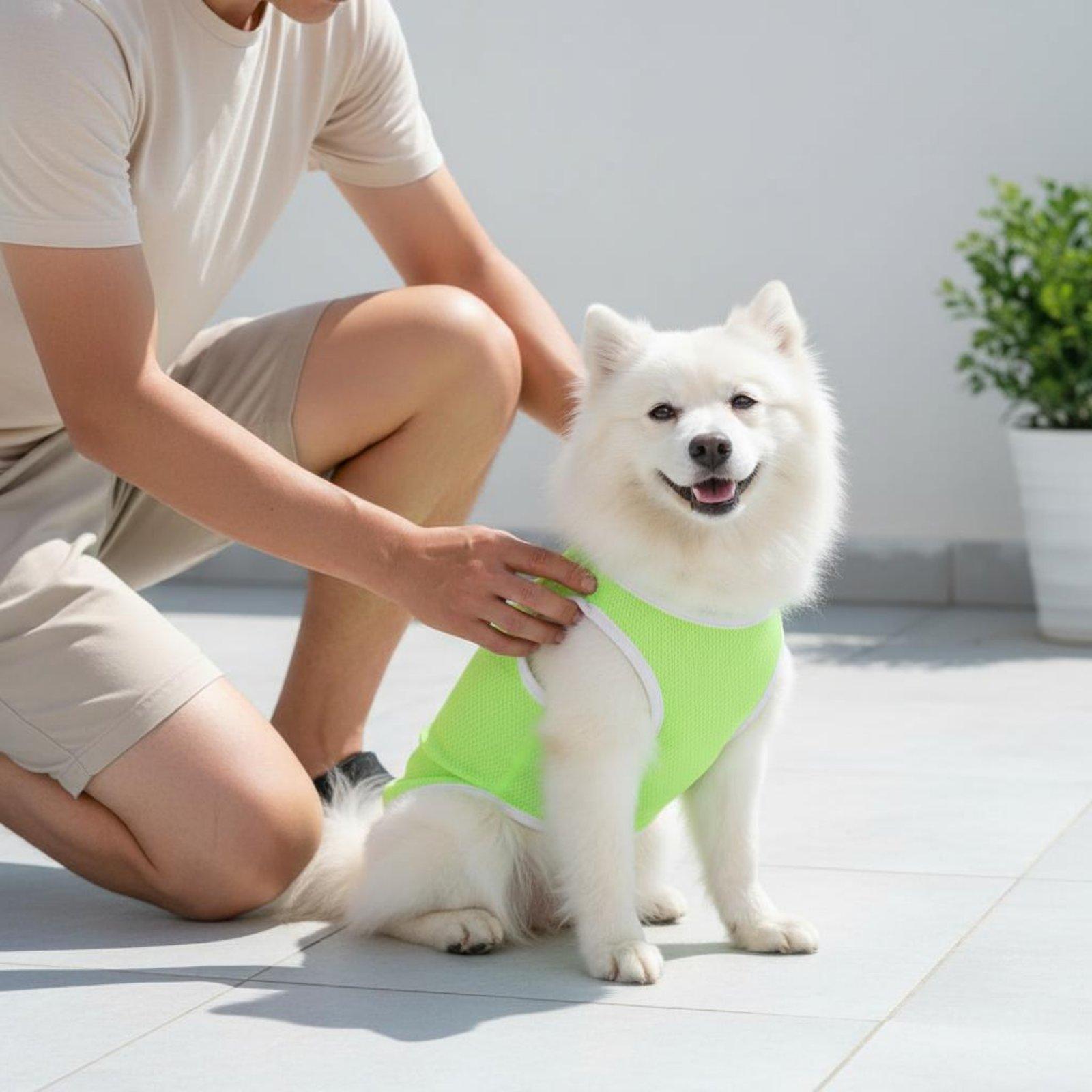 Pet Mesh Vest for Dogs Heat Re - Outdoor Adventure Boys ulasan dan harga